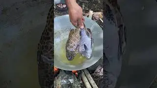 The Perfect Prep for the PERFECT Fried Fish