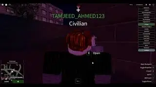 Playing Roblox Buckingham Palace as a Civilian