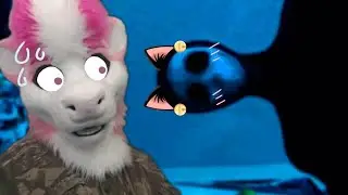 having furry roommates.... [storytime]
