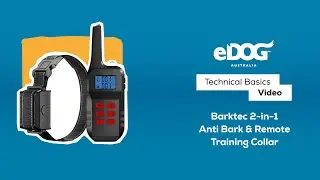 Начало работы с ошейником Barktec 2-в-1 для дистанционного обучения и борьбы с лаем
