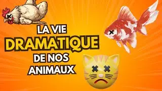La vie dramatique de nos animaux, de la ville à la campagne 🐯🐔🐠