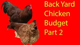 Chicken Budget Version 2!