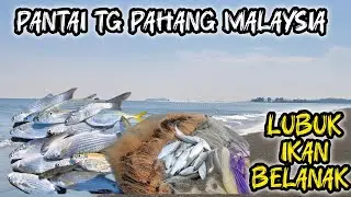 MENJALA BERBURU IKAN BELANAK DI TEPI PANTAI TG PAHANG | SUNGAI ENDAU MUARA.