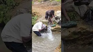 fake crocodile prank