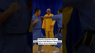 Shaolin Institute Wushu Application Self Defense Technique Elbow Strike Extended #martialarts