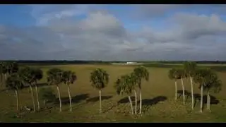 Central Florida (Drone footage)