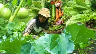 Dari kebun ke meja:merawat dan petik sayur dari kebun langsung masak||kehidupan pedesaan di gunung