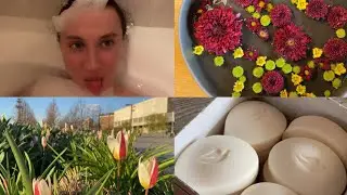 💖 Vlog #95. Ikebana, política, paseo 🌳