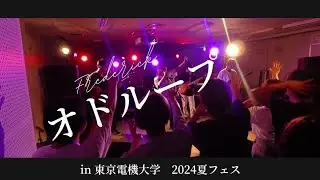 オドループ【フレデリック】at 東京電機大学（2024夏フェス）＃オドループ #コピーバンド #軽音部 #邦ロック