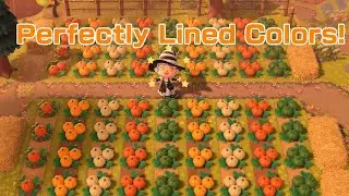 How to Place the Different Colored Pumpkins in Specific Spots in Animal Crossing New Horizons