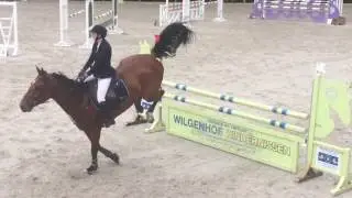Cassander Ter wilgen 1m10 14/05/2017