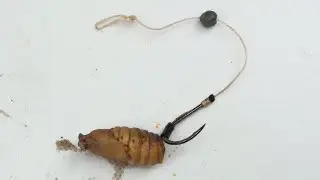 How to Hook Silk Worms on Fish Hook - Summer Fish Bait(2)Mồi c&acirc;u m&ugrave;a Hạ
