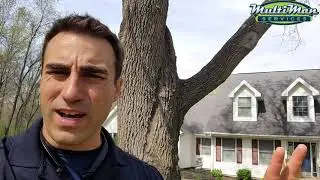 Roof Maxx, Roof Repair, and Washing Quote.