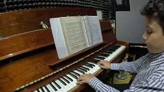 L GOD&Iacute;NEZ caj wom ra&iacute;z amarga