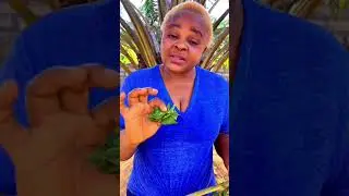 3 Major Health Benefits Of Cida Acuta Grass 