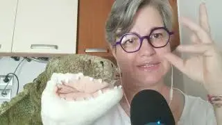 Asmr - dedicato a Giadina e Dario un po' differente dagli altri 