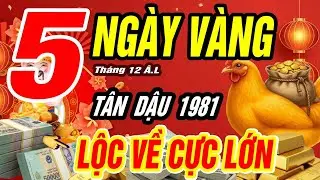 Tân Dậu 1981: Trời Mở Phúc Phần, Phật Độ Cuối Năm – Tháng 12 Âm Lịch Tiền Về Bất Ngờ