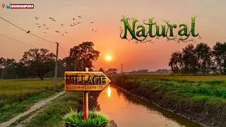 Dharmpura Aurangabad in Bihar || Most Beautiful Villages of Bihar || My first vlog # princevlogss56 