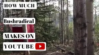 How much Bushradical makes on Youtube - YT Money Business Model