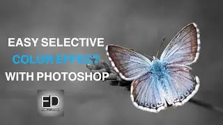 Selective Color Photo Effect in Photoshop