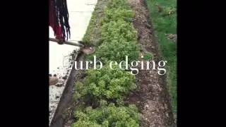 Spring clean ups and site preparation video. Virginia Beach Landscapes 757-292-9415