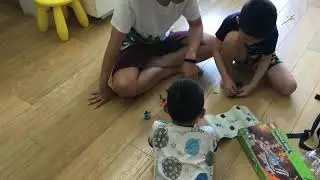 Minecraft LEGO 21130 building fast forward