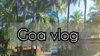 गोवा ब्लॉग #healthyfood #vlog #goa #southgoa #southgoabeaches #goa #goafood #goafoodblogger