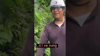 Cuộc sống TTS ở Nhật