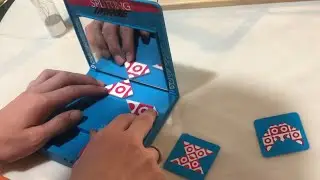 a puzzle you SOLVE in a MIRROR (splitting image)