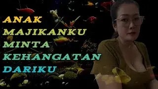 Pengalaman hidup || Anak majikanku minta kehangatan dari diriku