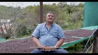 Echoes of Coffee: Narratives from Costa Rican Producers - Don Sabino
