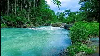 Calming Water Sounds &ndash; Peaceful River Stream Ambience for Deep Relaxation