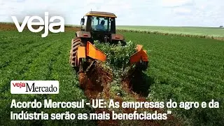 Acordo Mercosul - UE: As empresas do agro e da indústria serão as mais beneficiadas” | Mercado