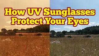 How UV Sunglasses Protect And Help Your Eyes In Intense Sunshine
