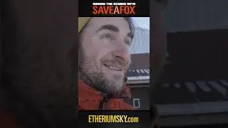 WARNING!  #foxes will BITE, PEE on you and STEAL your camera! // #wildlife #animalrescue #bts