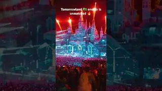 Tomorrowland Brazil 2024 energy is 🔥
