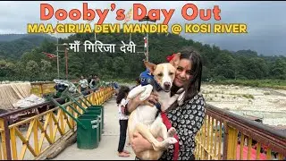Dooby&rsquo;s Day Out 🐾 | Maa Girija Devi Mandir and Kosi River