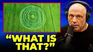 Wiltshire&rsquo;s Crop Circle Mystery Just Took a GODLIKE Turn &mdash; Experts Can&rsquo;t Explain It!