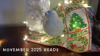 november 2025 reads
