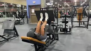 Close Stance Leg Press