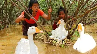 Survival in forest - Girl and smart boy Meeting Egg Goose - Cook egg goose Eating Ep 11