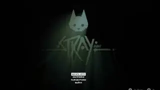 How To Fix Stray 2022 PC [Black Screen]