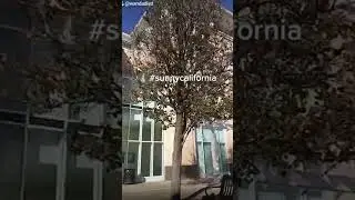 hayward city hall tour