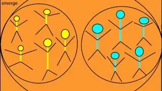 Functional Subgrouping: The core method of Systems-Centered Training (SCT)