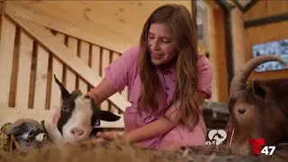 El santuario Goats of Anarchy marca la diferencia en la vida de los animales