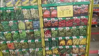 How to buy fruit trees in a bag|seed sale at Tractor supply
