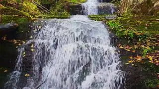Buttermilk Falls, NJ.  Delta waves with sounds of the Tibetan Singing Bowl. Relaxing water sound 4K