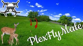 FPV Deer Friendship | FPV Freestyle | #PlexFlyMate