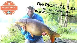 Karpfenangeln für Anfänger - Die richtige Rute auswählen - Testkurve lbs in Wurfgewicht umrechnen
