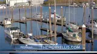 Hayden Island Client Vimeo HD